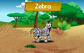 Zebra